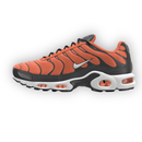 Air Max Plus By You