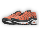 Air Max Plus By You
