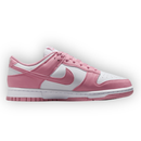 Nk SB Dunk Low Next Nature
