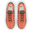 Air Max Plus By You