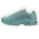 Air Max Plus By You
