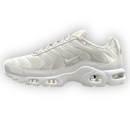 Air Max Plus By You