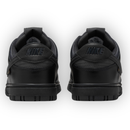 Nk SB Dunk Low GORE-TEX