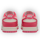 Nk SB Dunk Low Next Nature