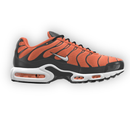 Air Max Plus By You