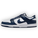 Nk SB Dunk Low  Retro SE