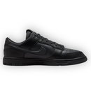 Nk SB Dunk Low GORE-TEX