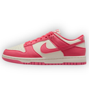 Nk SB Dunk Low Next Nature