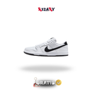 Nk SB Dunk Low Pro